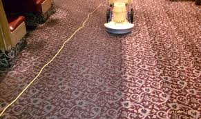 Corona carpet cleaners